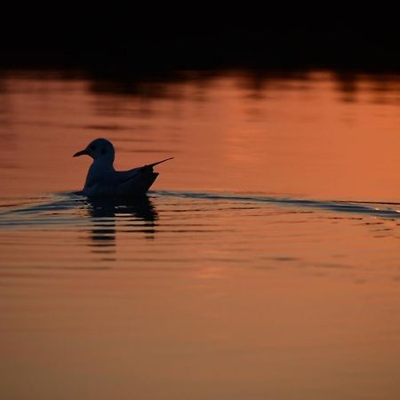 Agriturismo Venice Photobirding Tessera Ngoại thất bức ảnh