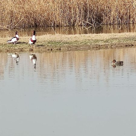 Agriturismo Venice Photobirding Tessera Ngoại thất bức ảnh